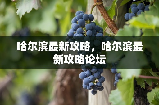 哈尔滨最新攻略，哈尔滨最新攻略论坛