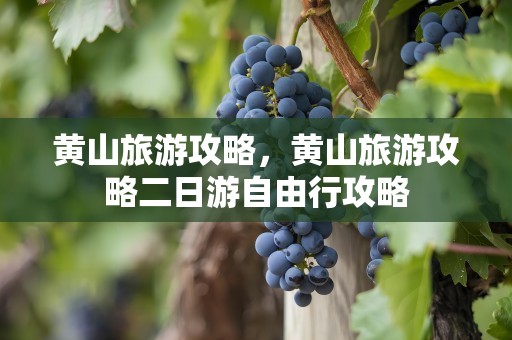 黄山旅游攻略，黄山旅游攻略二日游自由行攻略