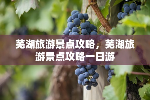 芜湖旅游景点攻略，芜湖旅游景点攻略一日游