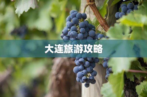 大连旅游攻略