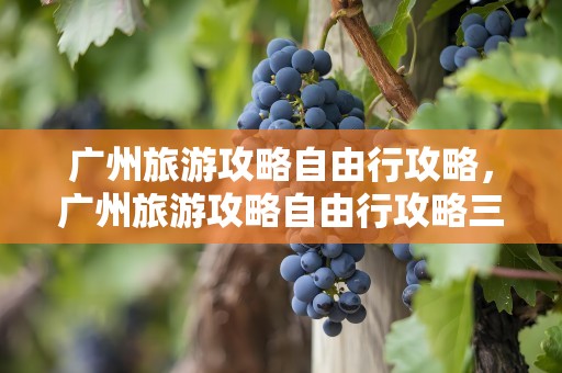 广州旅游攻略自由行攻略，广州旅游攻略自由行攻略三天