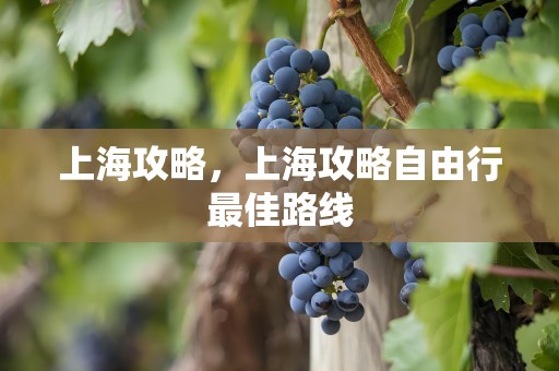 上海攻略，上海攻略自由行最佳路线