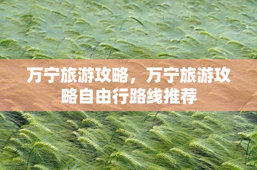 万宁旅游攻略，万宁旅游攻略自由行路线推荐