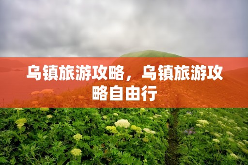 乌镇旅游攻略，乌镇旅游攻略自由行