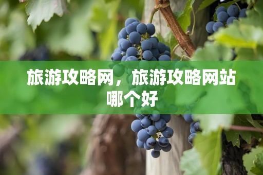 旅游攻略网，旅游攻略网站哪个好