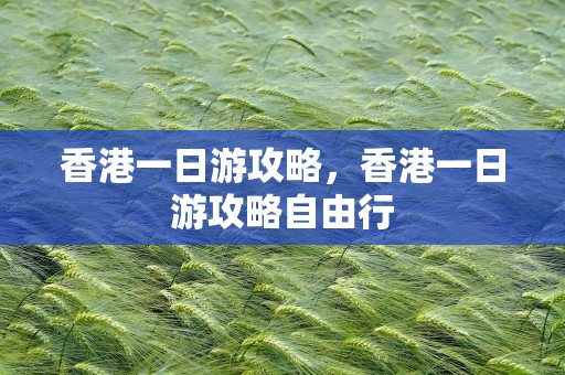 香港一日游攻略，香港一日游攻略自由行