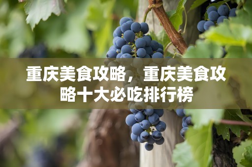 重庆美食攻略，重庆美食攻略十大必吃排行榜