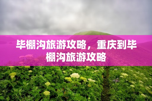 毕棚沟旅游攻略，重庆到毕棚沟旅游攻略