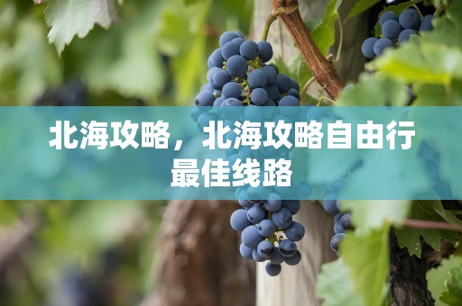 北海攻略，北海攻略自由行最佳线路
