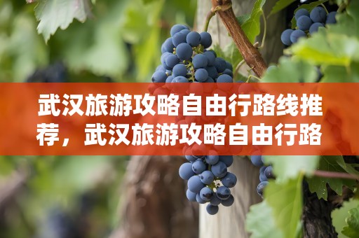 武汉旅游攻略自由行路线推荐，武汉旅游攻略自由行路线推荐一日游