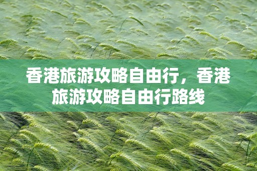 香港旅游攻略自由行，香港旅游攻略自由行路线