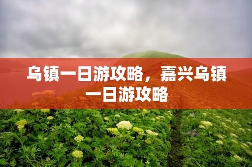 乌镇一日游攻略，嘉兴乌镇一日游攻略