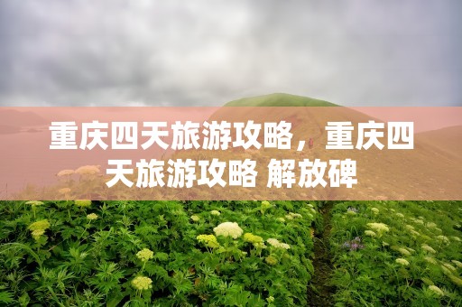 重庆四天旅游攻略，重庆四天旅游攻略 解放碑