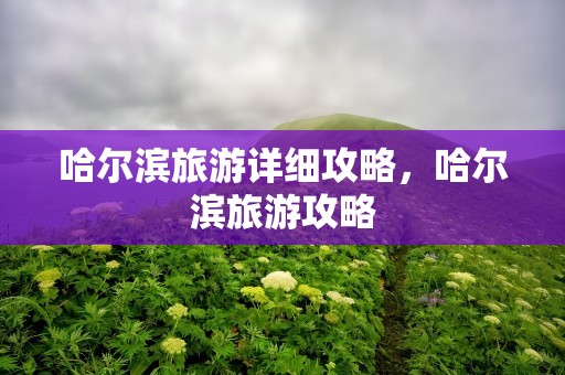 哈尔滨旅游详细攻略，哈尔滨旅游攻略
