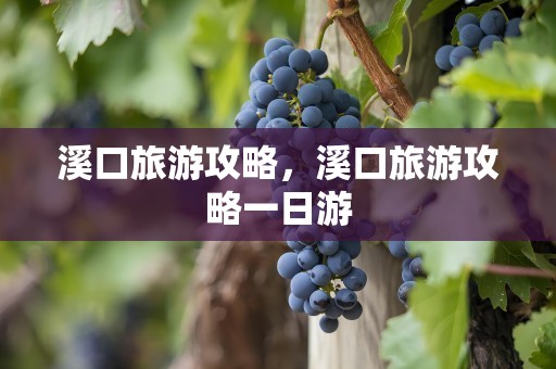 溪口旅游攻略，溪口旅游攻略一日游