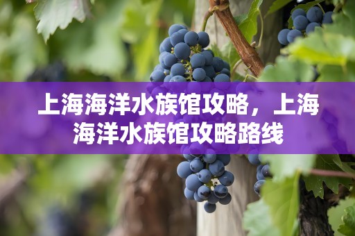 上海海洋水族馆攻略，上海海洋水族馆攻略路线