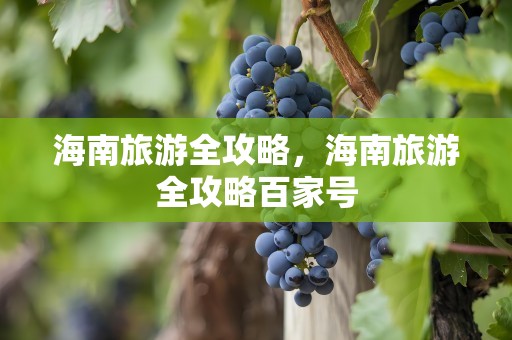 海南旅游全攻略，海南旅游全攻略百家号