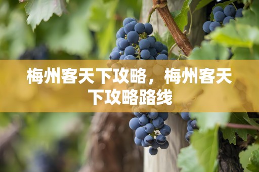 梅州客天下攻略，梅州客天下攻略路线