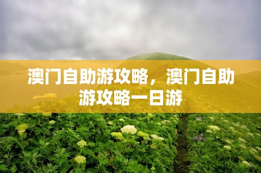 澳门自助游攻略，澳门自助游攻略一日游