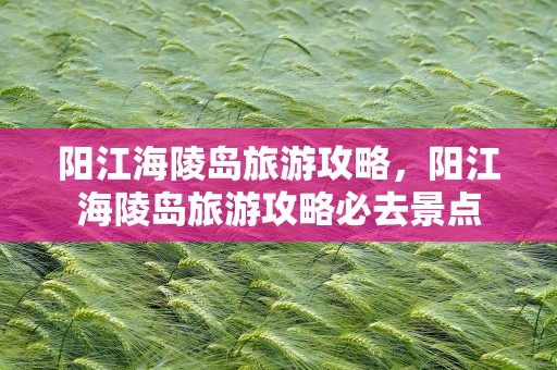 阳江海陵岛旅游攻略，阳江海陵岛旅游攻略必去景点