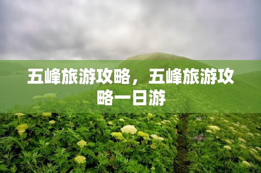 五峰旅游攻略，五峰旅游攻略一日游