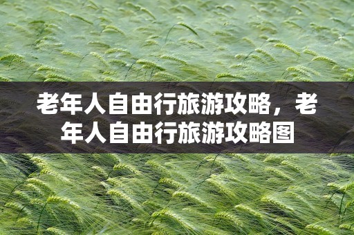 老年人自由行旅游攻略，老年人自由行旅游攻略图