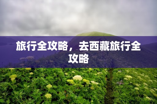 旅行全攻略，去西藏旅行全攻略