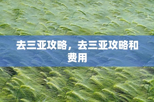 去三亚攻略，去三亚攻略和费用