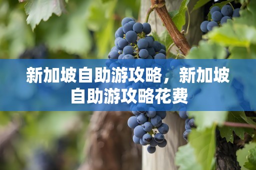 新加坡自助游攻略，新加坡自助游攻略花费