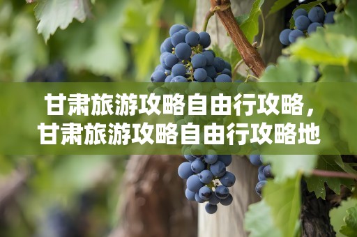 甘肃旅游攻略自由行攻略，甘肃旅游攻略自由行攻略地图