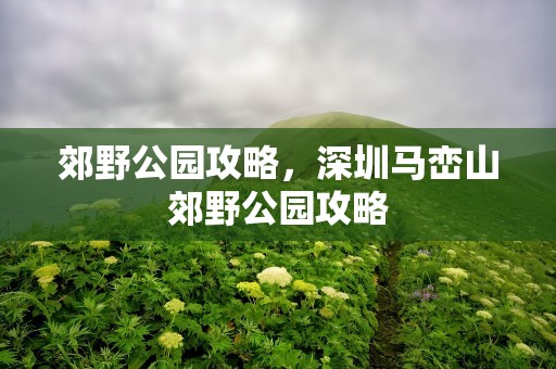 郊野公园攻略，深圳马峦山郊野公园攻略