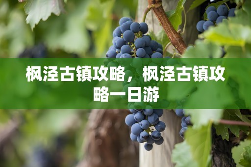 枫泾古镇攻略，枫泾古镇攻略一日游