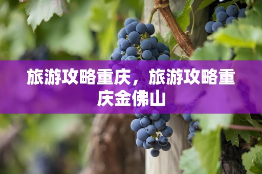 旅游攻略重庆，旅游攻略重庆金佛山