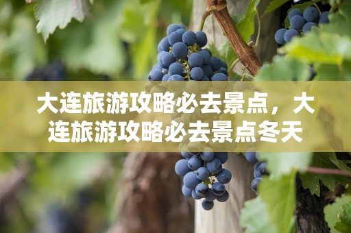 大连旅游攻略必去景点，大连旅游攻略必去景点冬天