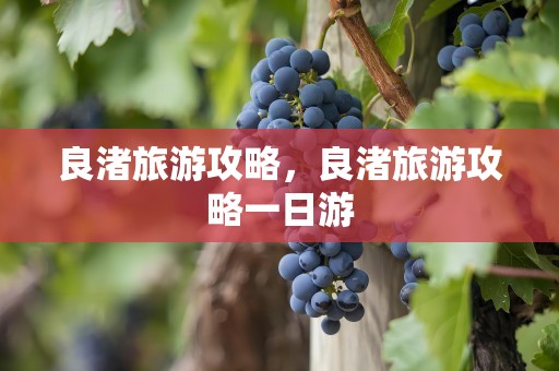 良渚旅游攻略，良渚旅游攻略一日游