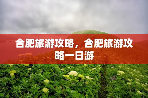 合肥旅游攻略，合肥旅游攻略一日游