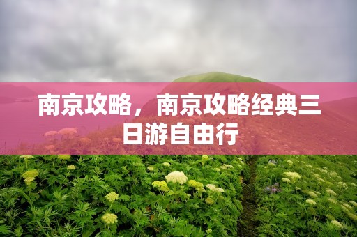 南京攻略，南京攻略经典三日游自由行