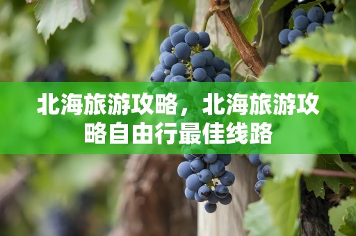 北海旅游攻略，北海旅游攻略自由行最佳线路
