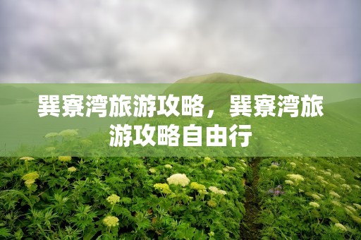巽寮湾旅游攻略，巽寮湾旅游攻略自由行