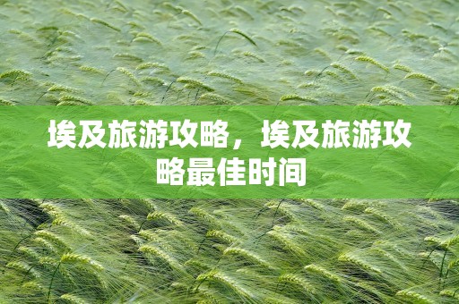 埃及旅游攻略，埃及旅游攻略最佳时间
