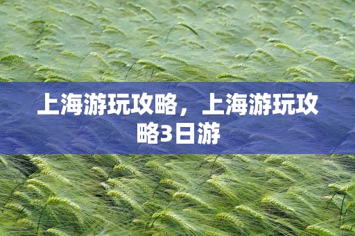上海游玩攻略，上海游玩攻略3日游