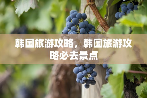 韩国旅游攻略，韩国旅游攻略必去景点