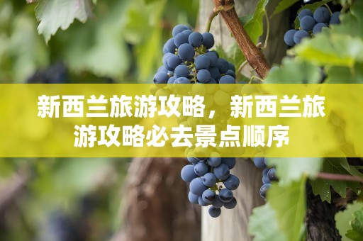 新西兰旅游攻略，新西兰旅游攻略必去景点顺序
