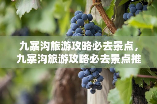 九寨沟旅游攻略必去景点，九寨沟旅游攻略必去景点推荐