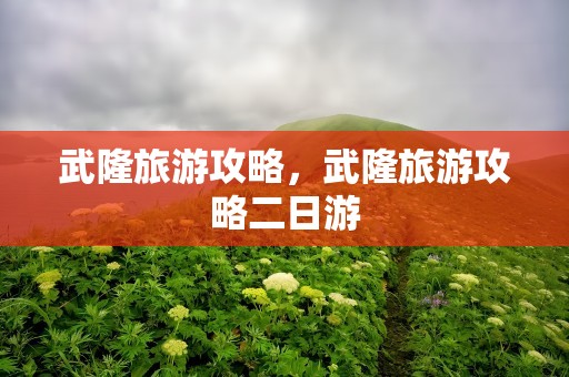 武隆旅游攻略，武隆旅游攻略二日游