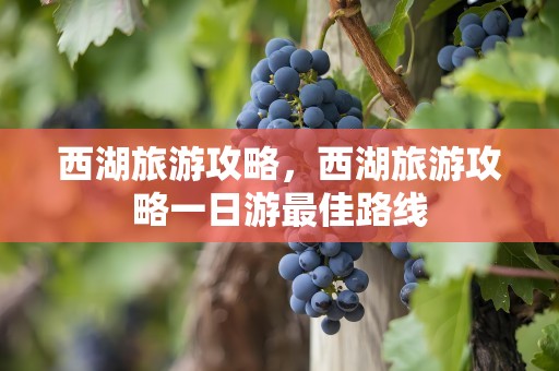 西湖旅游攻略，西湖旅游攻略一日游最佳路线