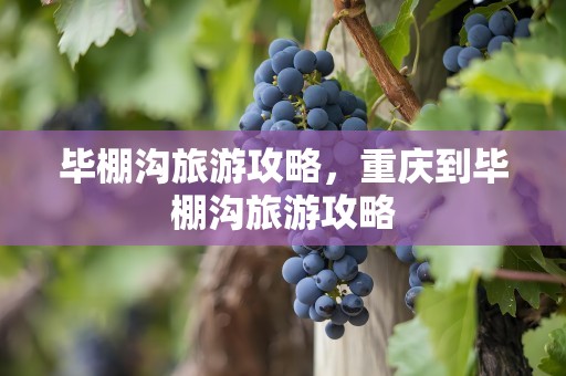 毕棚沟旅游攻略，重庆到毕棚沟旅游攻略