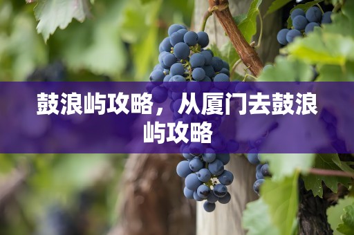鼓浪屿攻略，从厦门去鼓浪屿攻略