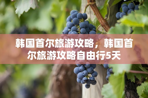 韩国首尔旅游攻略，韩国首尔旅游攻略自由行5天