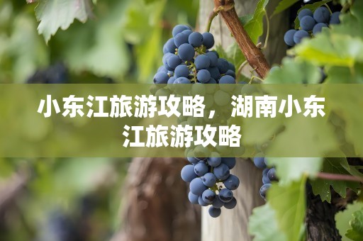 小东江旅游攻略，湖南小东江旅游攻略